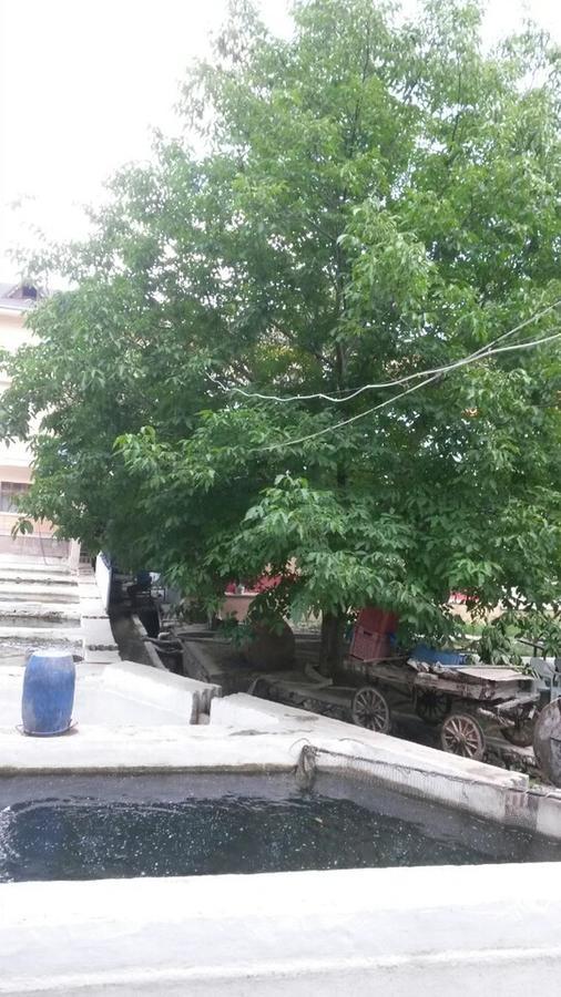 Alanlar Alabalik Ve Otel Aglasun Екстер'єр фото